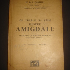 D. I. VASILIU - CE TREBUIE SA STIM DESPRE AMIGDALE {1938}