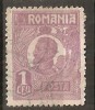 TIMBRE 104m, ROMANIA, 1920, FERDINAND BUST MIC, 1 LEU, EROARE, CADRU INTRERUPT LATURA DREAPTA, RARITATE, MARCA ATIPICA, ERORI, ECV, ATIPICE, RARITATI