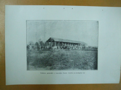 Expozitia zootehnica Turnu Severin 24 septembrie 1925 Vederea generala a expozitiei sectia taurilor si produsilor lor foto