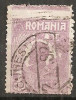 TIMBRE 105d, ROMANIA, 1920, FERDINAND BUST MIC, 1 LEU, EROARE, DANTELURA DEPLASATA, EROARE SPECTACULOASA, ERORI, ECV, MARCA ATIPICA, ATIPICE