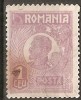 TIMBRE 104V, ROMANIA, 1920, FERDINAND BUST MIC, 1 LEU, EROARE, CADRU INTRERUPT LATURA SUPERIOARA - STANGA, MARCA ATIPICA, EROARE MAJORA, SPECTACULOASA