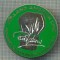 1848 INSIGNA(PLACHETA) - ACADEMY OF CULINARY EXCELLENCE - HOLAND AMERICA LINE - PRODUSA DE: ATLAS, INC. USA -starea care se vede