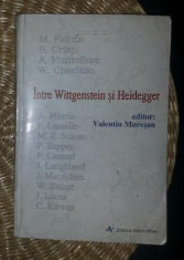 Intre Wittgenstein si Heidegger Ed. Alternative 1998 studii foto