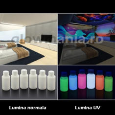 Set 6 culori vopsea UV fluorescenta invizibila foto