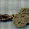 ATAM2001- Breloc 235, pentru colectionari - TEMATICA FOTBAL - FC BRASOV