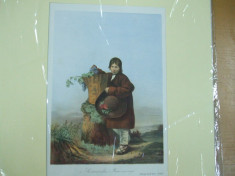 Transilvania copil de taran roman 1860 revista de cultura Faust Munchen M. Auer foto