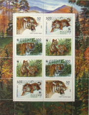 RUSIA 1993 - TIGERS 2 x 4 VALORI IN M/SH, NEOBLITERATA - E2121 foto