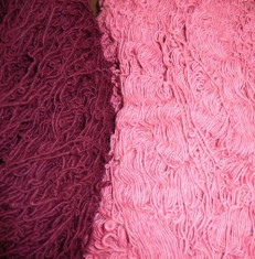 Fir lana roz foto