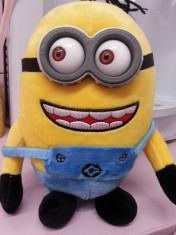 Minion din plus DESPICABLE ME 20 cm foto