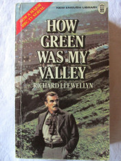 &amp;quot;HOW GREEN WAS MY VALLEY&amp;quot;, Richard Llewellyn, 1977 foto