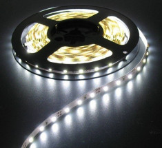 IP20 Cool White 60led white pcb 5m 04302 foto