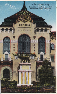 CARTE POSTALA TARGU MURES Primaria cu statuia lupoaicei Necirculata foto