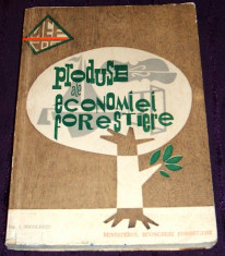 Catalog 1966 - Produse ale economiei forestiere, Ing. I. Nicolescu, industria prelucrarii lemnului in RSR foto