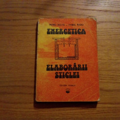 ENERGETICA ELABORARII STICLEI -- Petru Balta, Dorel Radu -- 1985, 293 p.