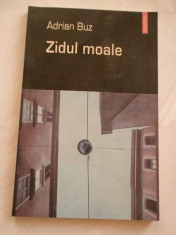 Zidul Moale - Adrian Buz ,269336 foto