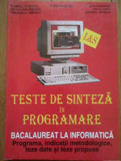 Teste De Sinteza In Programare Bacalaureat La Informatica - Colectiv ,296931 foto