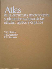 Atlas De La Estructura Microscopica Y Ultramicroscopica De La - V.g. Eliseiev Yu. I. Afanasiev E.f. Kotovski ,292182 foto