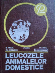 Leucozele Animalelor Domestice - Colectiv ,273568 foto