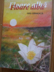 Floare Alba - Gigi Girneata ,298590 foto