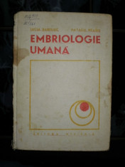 Embriologie umana - Lucia Bareliuc foto