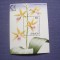 Samoa 1995 flori orhidee expozitie Singapore MI bl.54 MNH