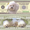 !!! SUA = FANTASY NOTE = BICHON FRISE - 2011 - UNC