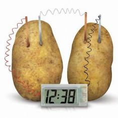 Ceas Potato clock Green Science Baterie ECO Ceas cartofi Ceas cartof Joc stiintific joc educativ ceasuri copii Ceas fara baterii ceas eco green COPII foto