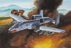 A-10 THUNDERBOLT II EASYKIT foto