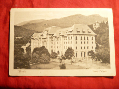 Ilustrata Sinaia -Palace Hotel -Ed. Nicu Buduroi ,interbelica foto