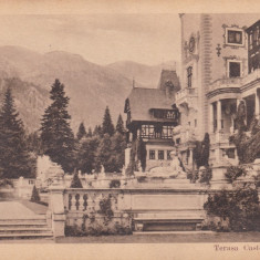 CARTE POSTALA SINAIA Terasa Castelului Peles Circulata 1935