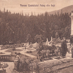 CARTE POSTALA SINAIA Terasa Castelului Peles din fata Circulata 1924