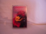 Casetă audio New Order - True Faith 94