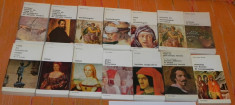 LOT 14 CARTI COLECTIA BIBLIOTECA DE ARTA - MICHELANGELO, RAFAEL, TITIAN, LORENZO MAGNIFICUL, BENVENUTO CELLINI, PIERRO DELLA FRANCESCA. renastere foto