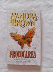 SANDRA BROWN - PROVOCAREA foto