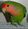 Foto  - 1