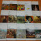 LOT 15 CARTI COLECTIA BIBLIOTECA DE ARTA - GAUGUIN,, DELACROIX, PICASSO, PISSARRO, SEURAT, TOULOUSE-LAUTREC, WATTEAU, GERICAULT, SUZANNE VALADON