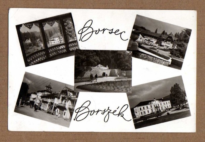 BORSEC HARGHITA 1963