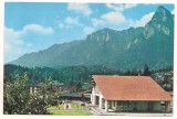 #carte postala(ilustrata) - BUSTENI-vedere, Necirculata, Printata