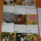 LOT 9 CARTI COLECTIA BIBLIOTECA DE ARTA - PETER BRUEGEL, I VAN GOGH, GIORGIO MORANDI, PAUL KLEE. MAESTRI DE ODINIOARA. EMILE ZOLA - SALOANELE MELE