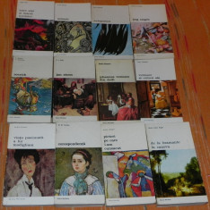 LOT 12 CARTI COLECTIA BIBLIOTECA DE ARTA - INTRE ALPI SI MAREA NORDULUI - ARTA GERMANA, VERMEER, VIATA LUI MODIGLIANI, TONITZA - CORESPONDENTA foto