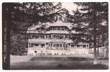 #carte postala(ilustrata) - CAMPULUNG MOLDOVENESC -Cabana Delia