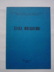 Clasa MOLISOLURI / C12P foto