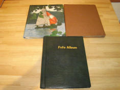 set 3 albume pentru fotugrafii. foto