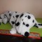jucarie plus personaj desene animate caine catel dalmatian 40 cm x2