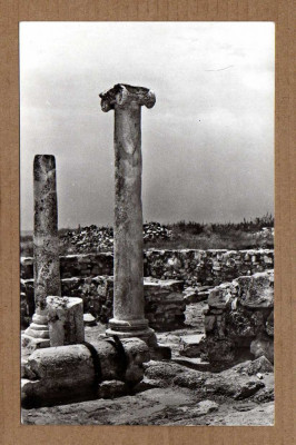 RUINELE CETATII HISTRIA APROX 1965 (1) foto