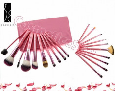 Set 20 pensule machiaj Fraulein Pink Candy pentru fond,pudra,corector,blush foto