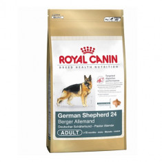 Royal Canin pentru Ciobanesc German Adult 12kg foto