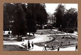 BORSEC HARGHITA VEDERE DIN PARC 1968