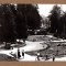 BORSEC HARGHITA VEDERE DIN PARC 1968