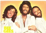 CPI (B4016) FORMATIA BEE GEES, CARTE POSTALA ILUSTRATA, NECIRCULATA, CASA FILMULUI ACIN (3)